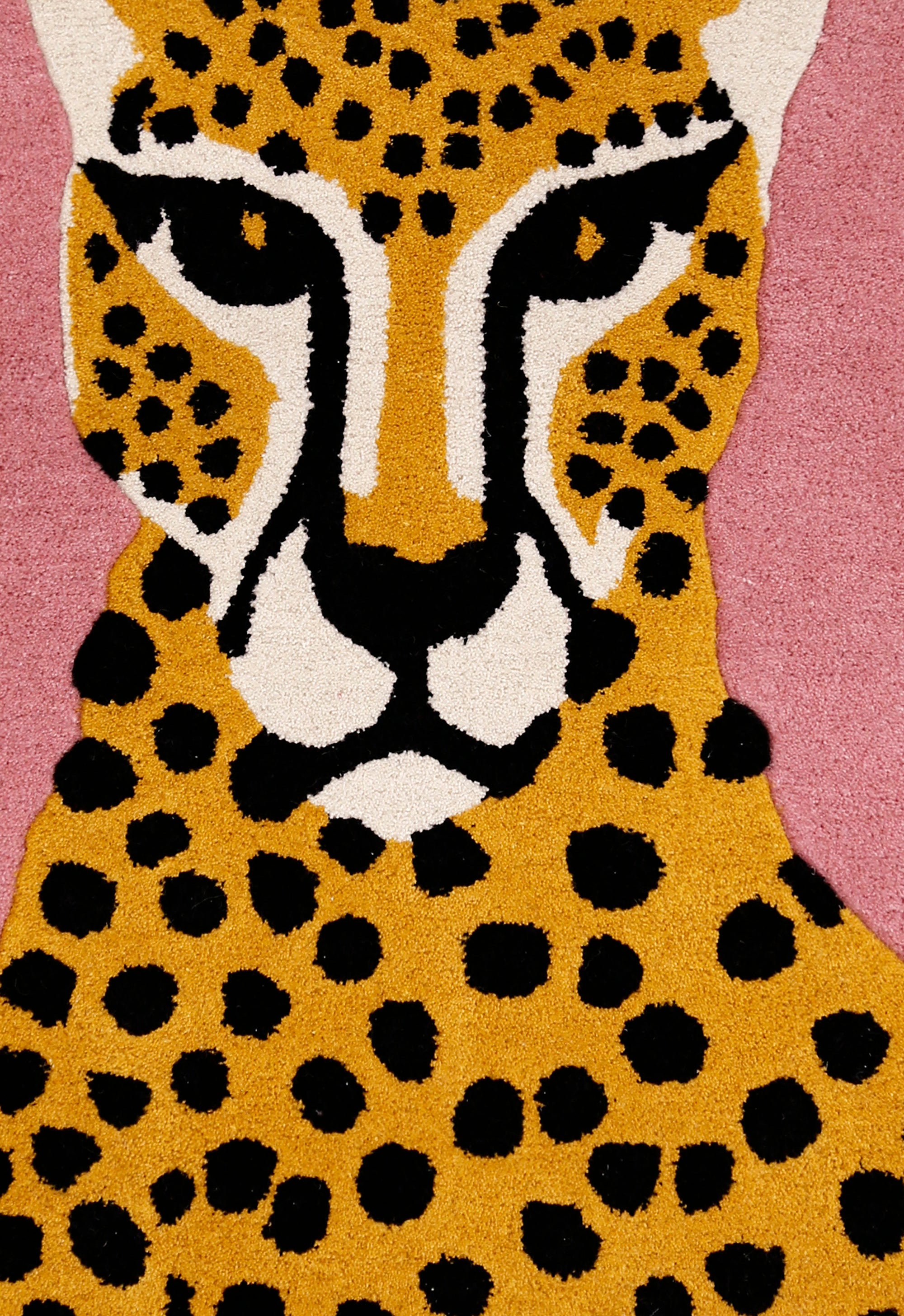 Savannah Stare