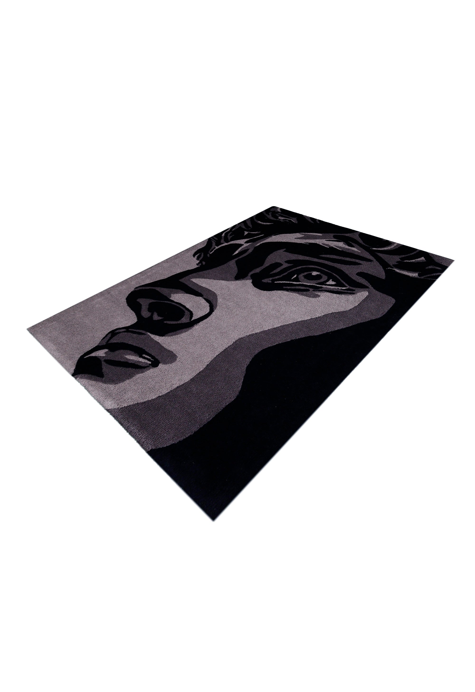 Silent Vision Rug