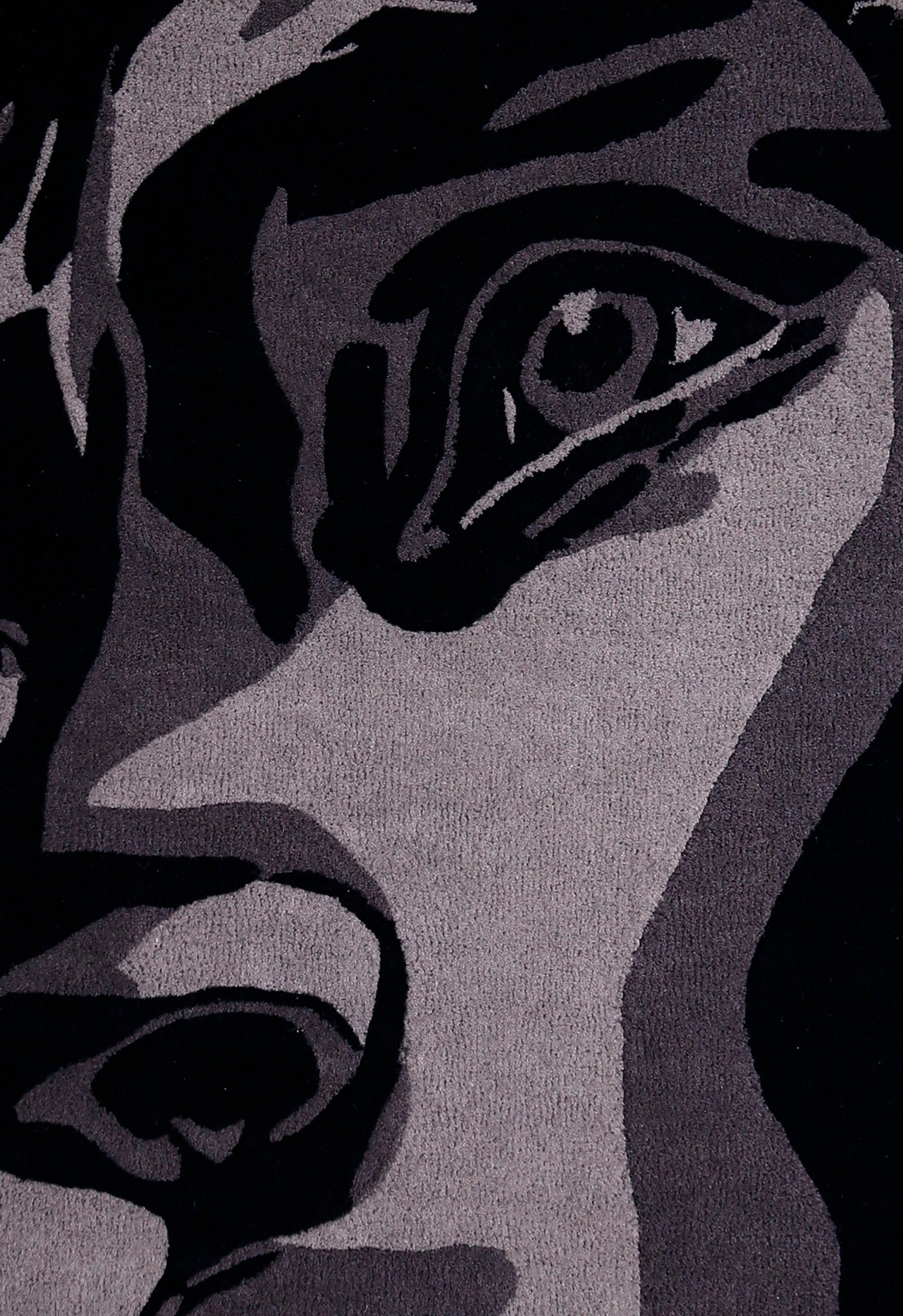 Silent Vision Rug