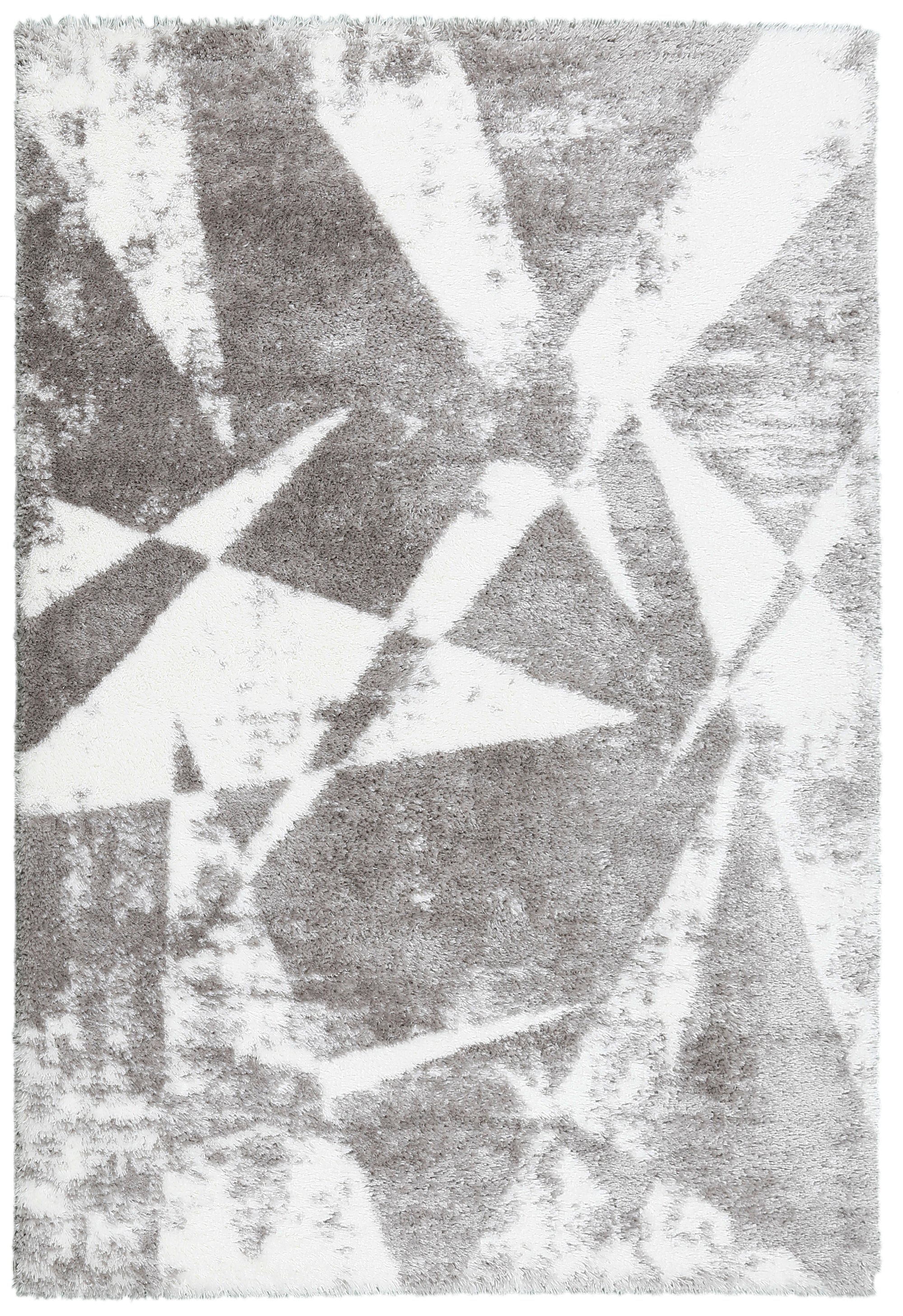 Silver Shards