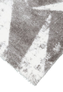 Silver Shards