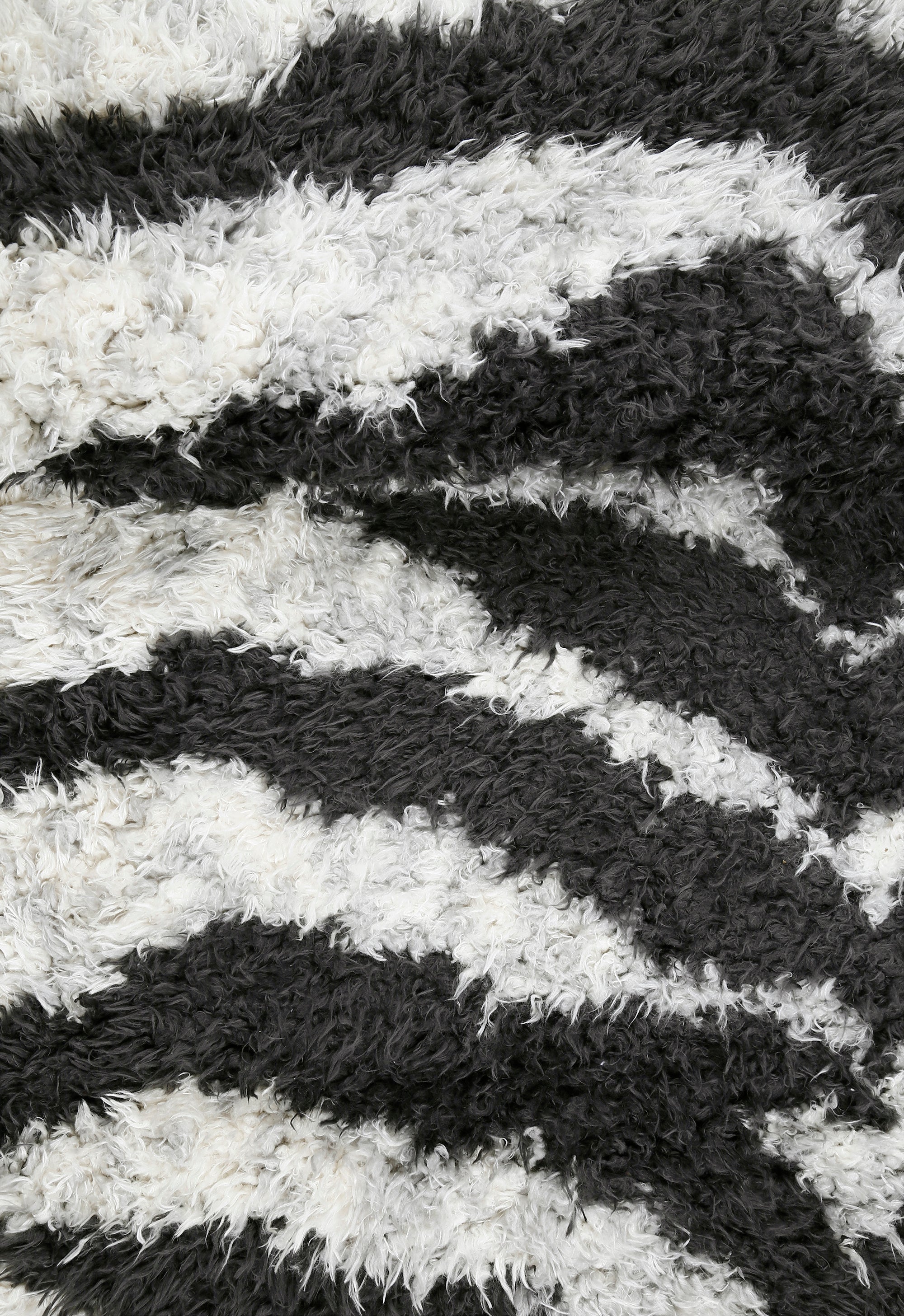 Zebra Wave