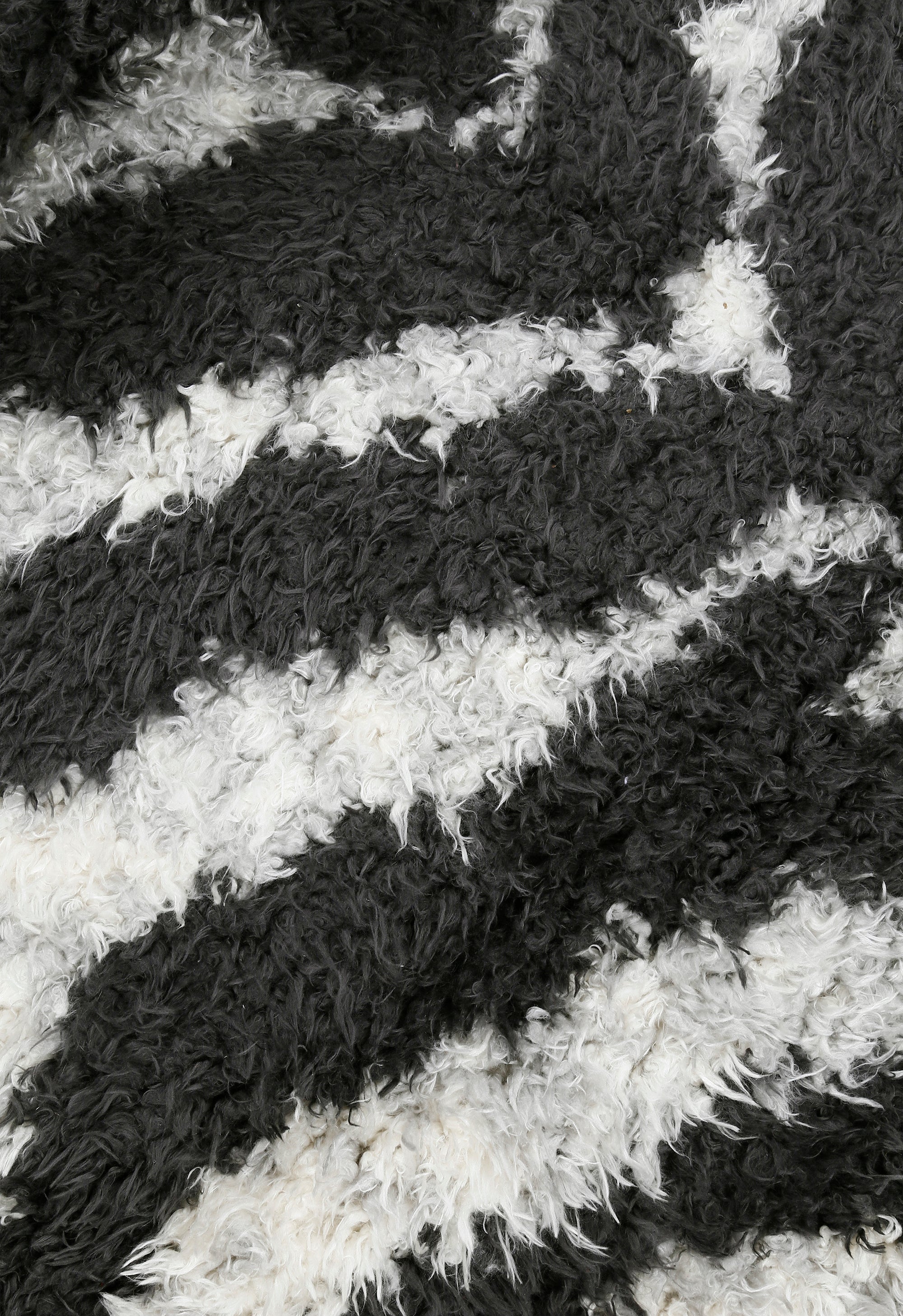 Zebra Wave