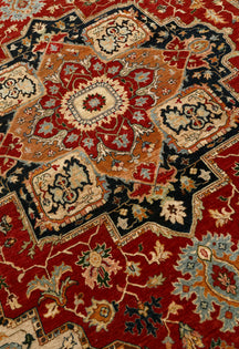 Khushi-Living-Carpet-Rugs-Hand-Knotted-Traditional