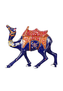 Journey Camel