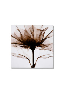 Khushi-Living-Paintings-Floral