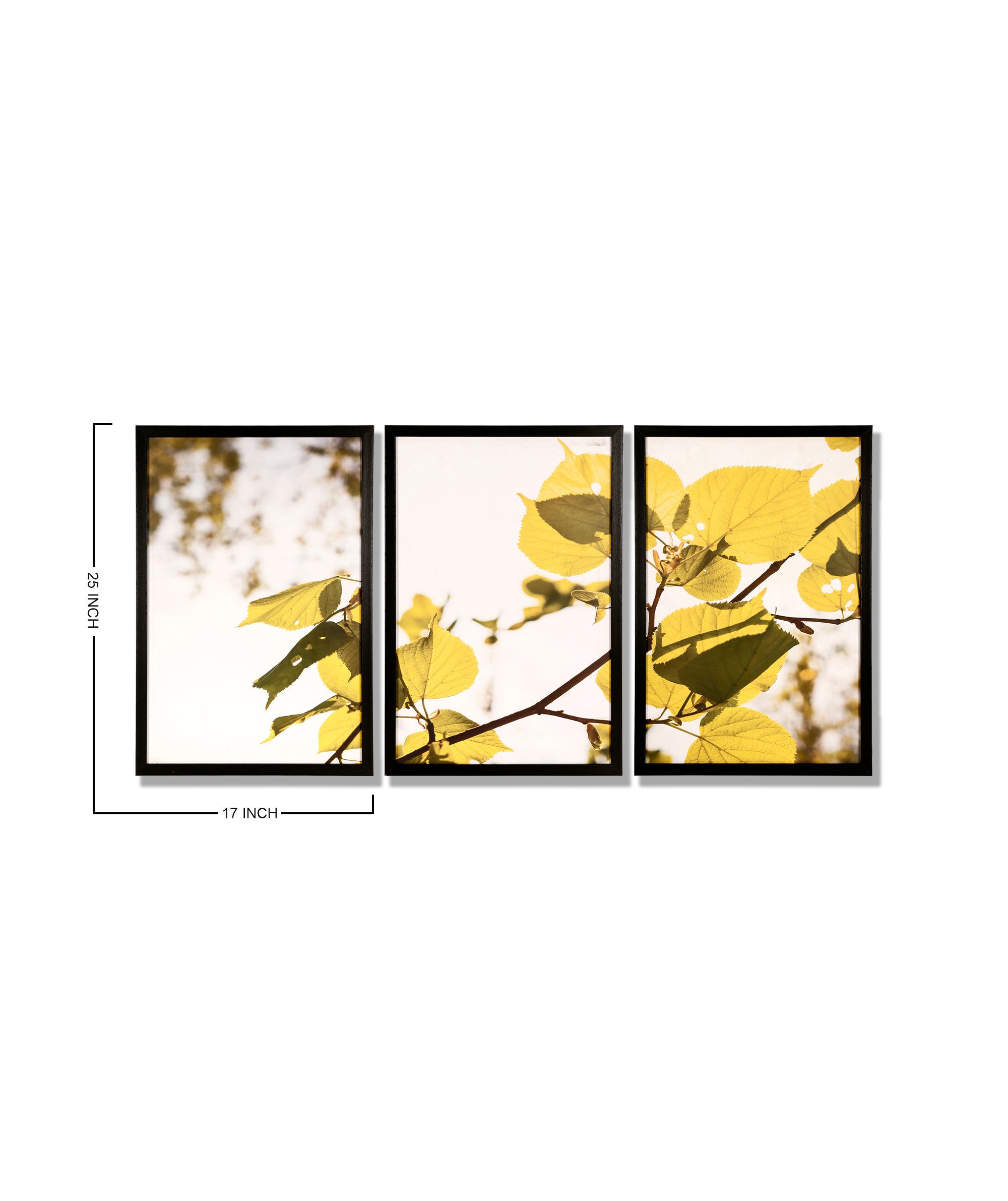 Khushi-Living-Paintings-Landscape
