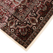 Corner and edge detail of Ivory Paisley Medallion Machine Woven Classic Art Silk Rug with ornamental border